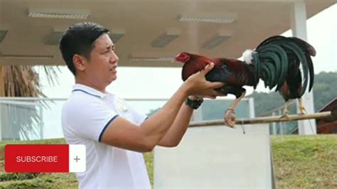 ryan abrenica|Chicken Talk: Atty. Ryan Abrenica Credit Vid to the owner.